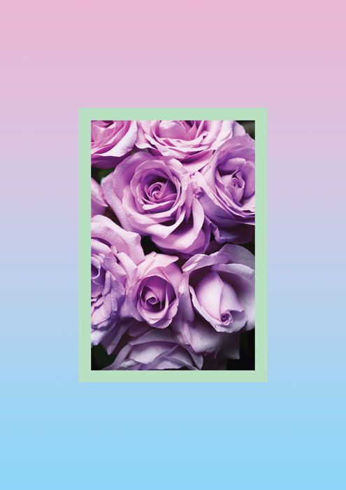 rosegarden-web