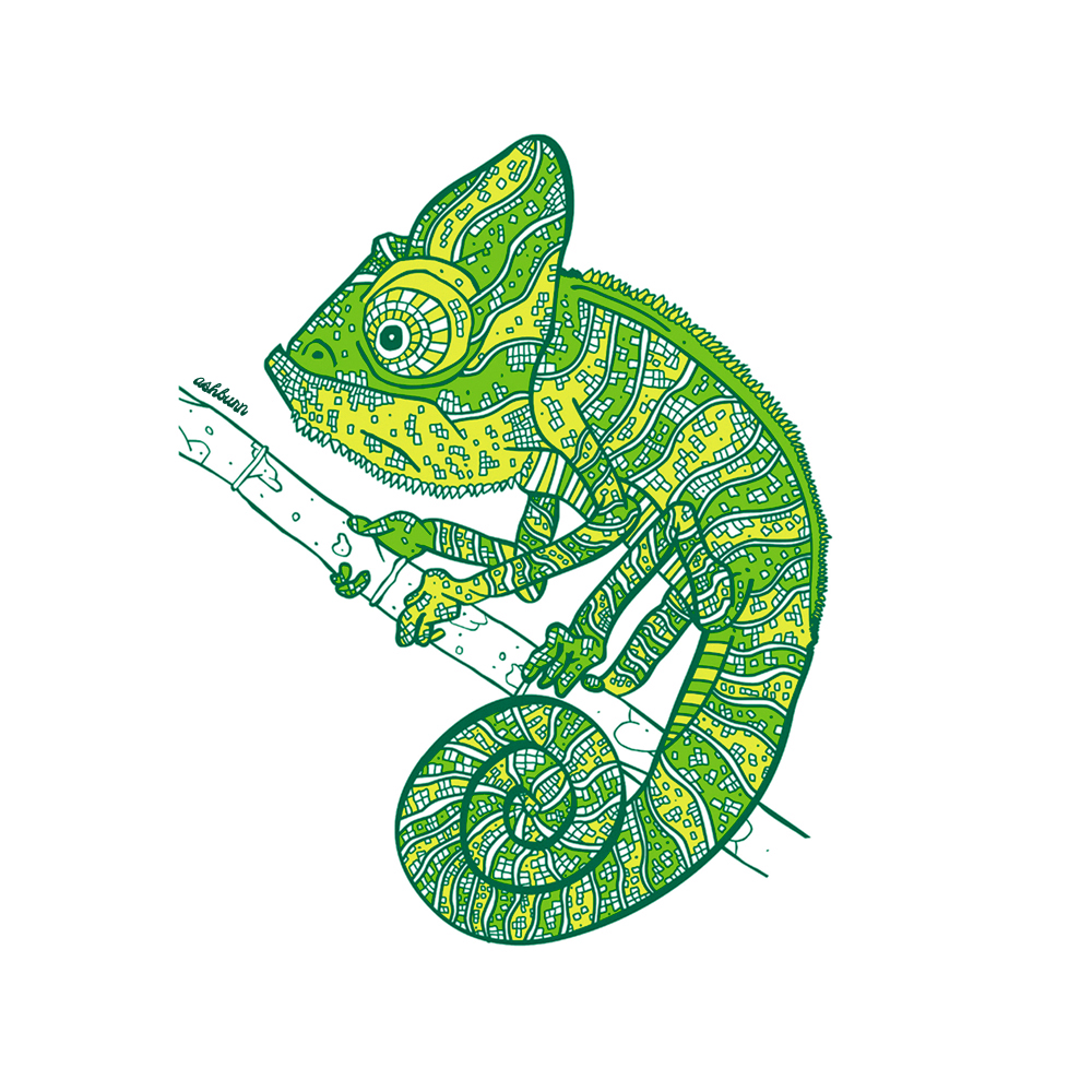 05-chameleon