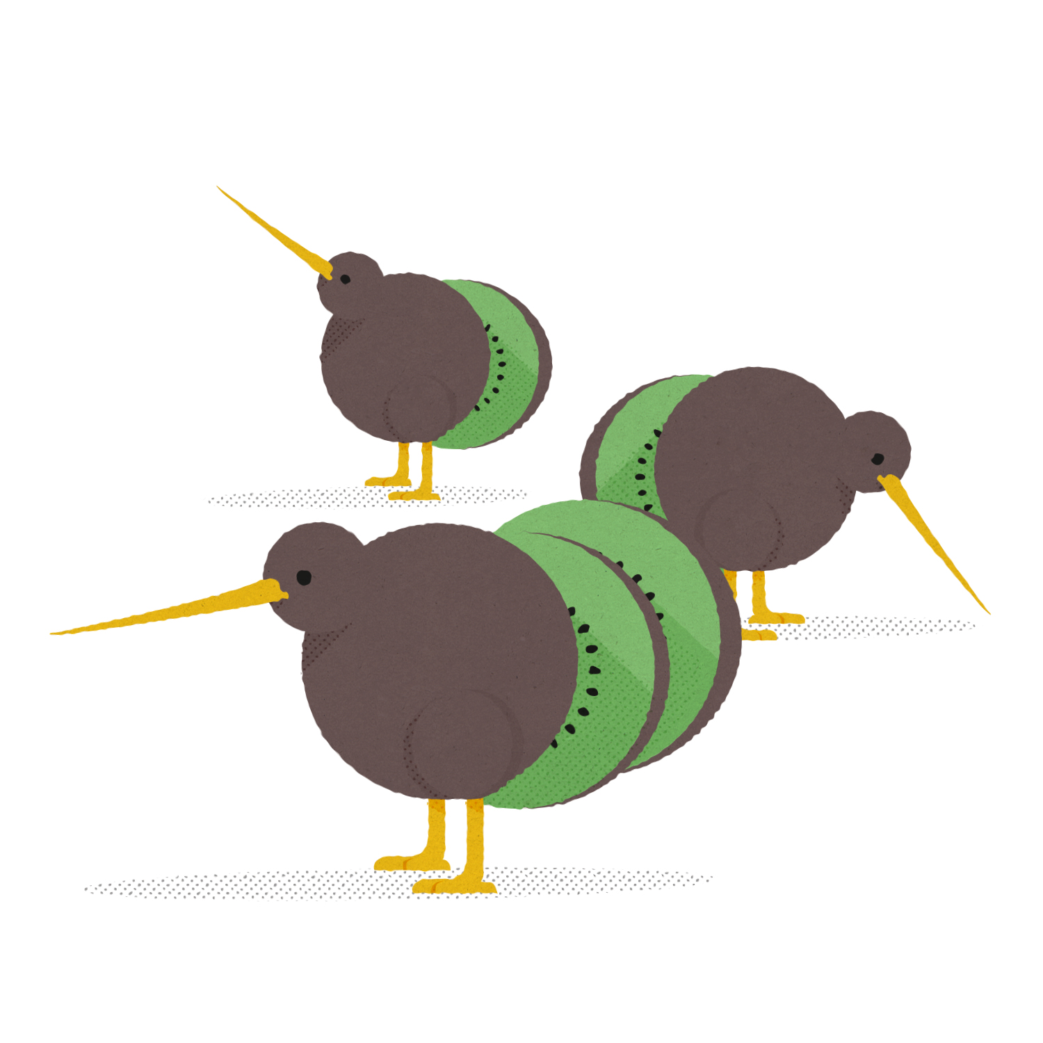 kiwi