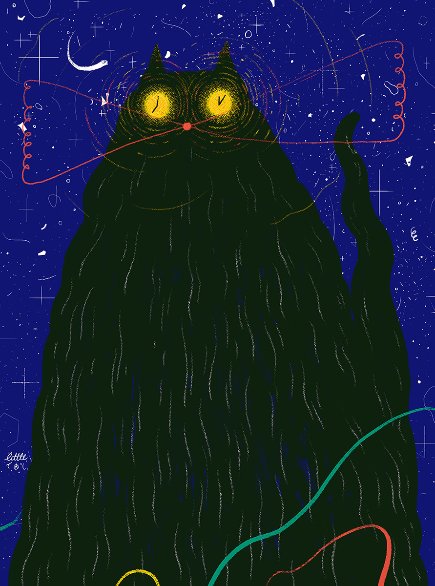 nightcat