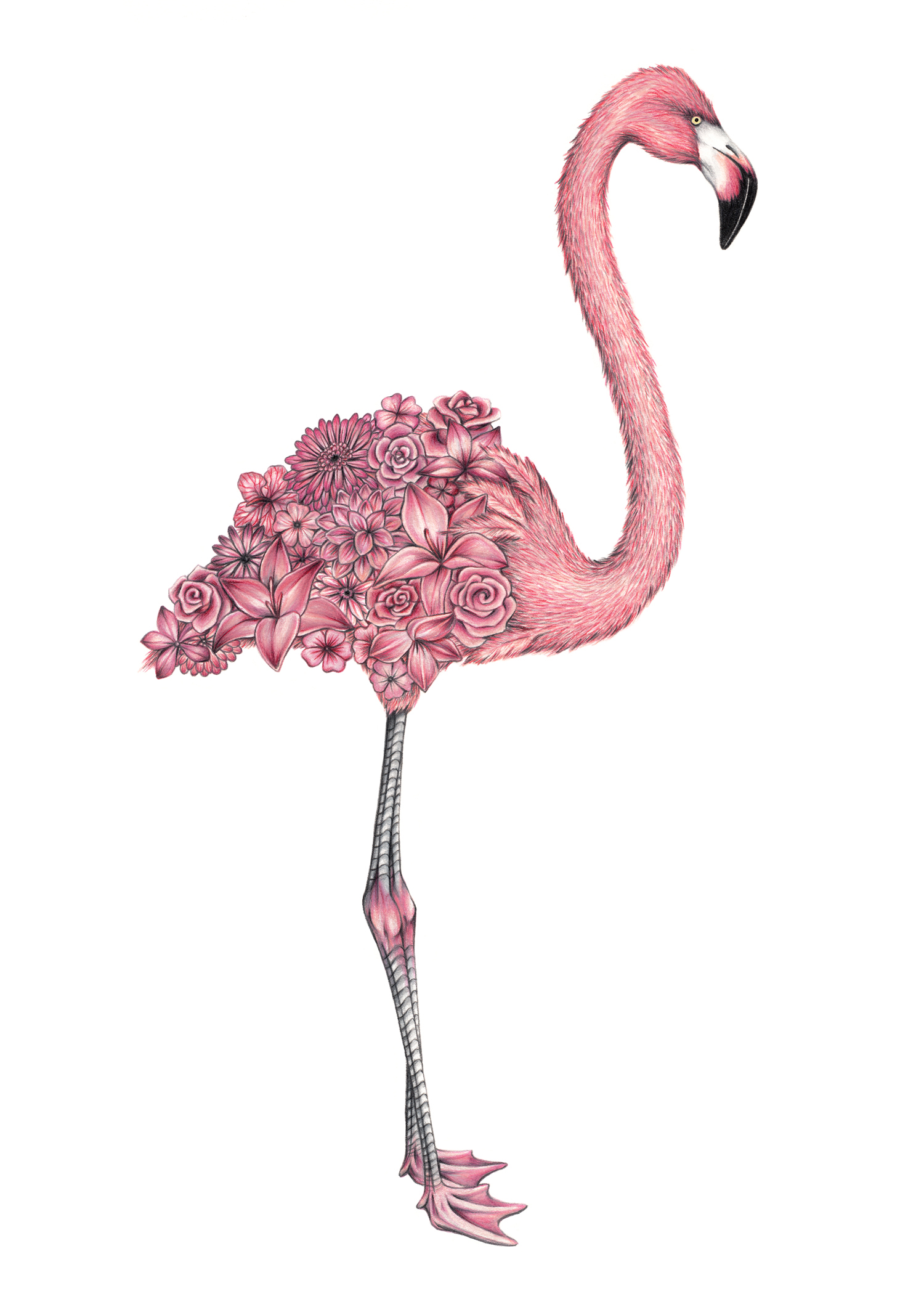7_chloe_mickham_flamingo