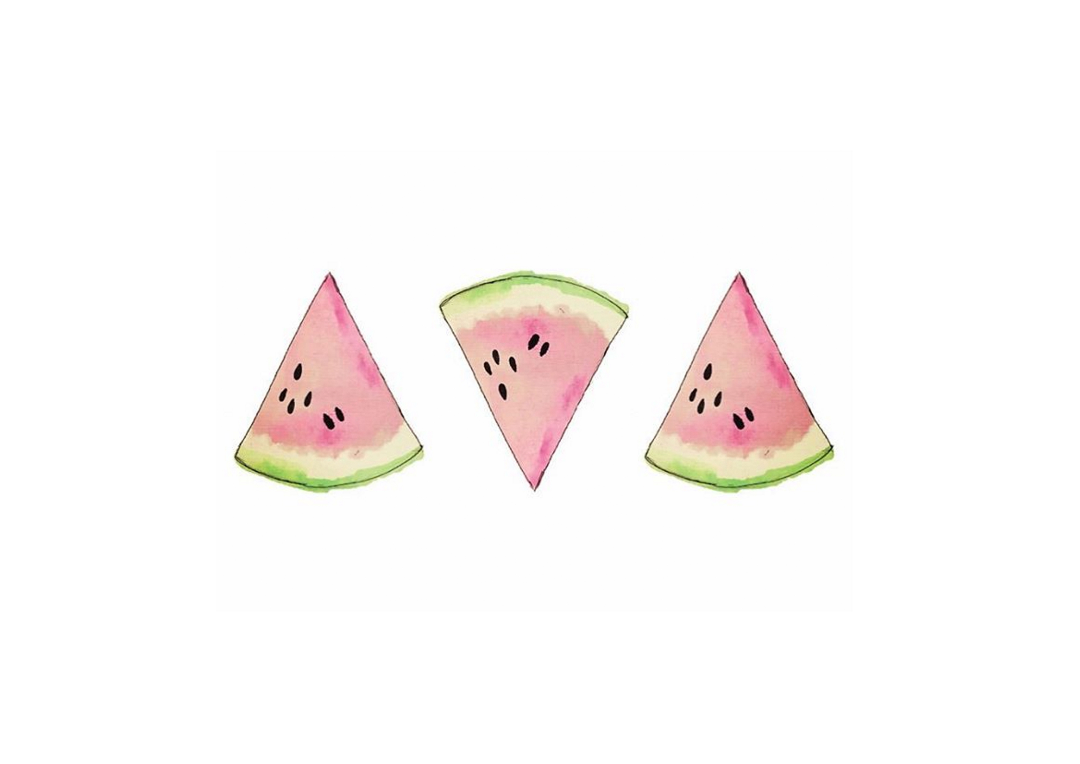 5-01-17-lisadenboer-watermelons
