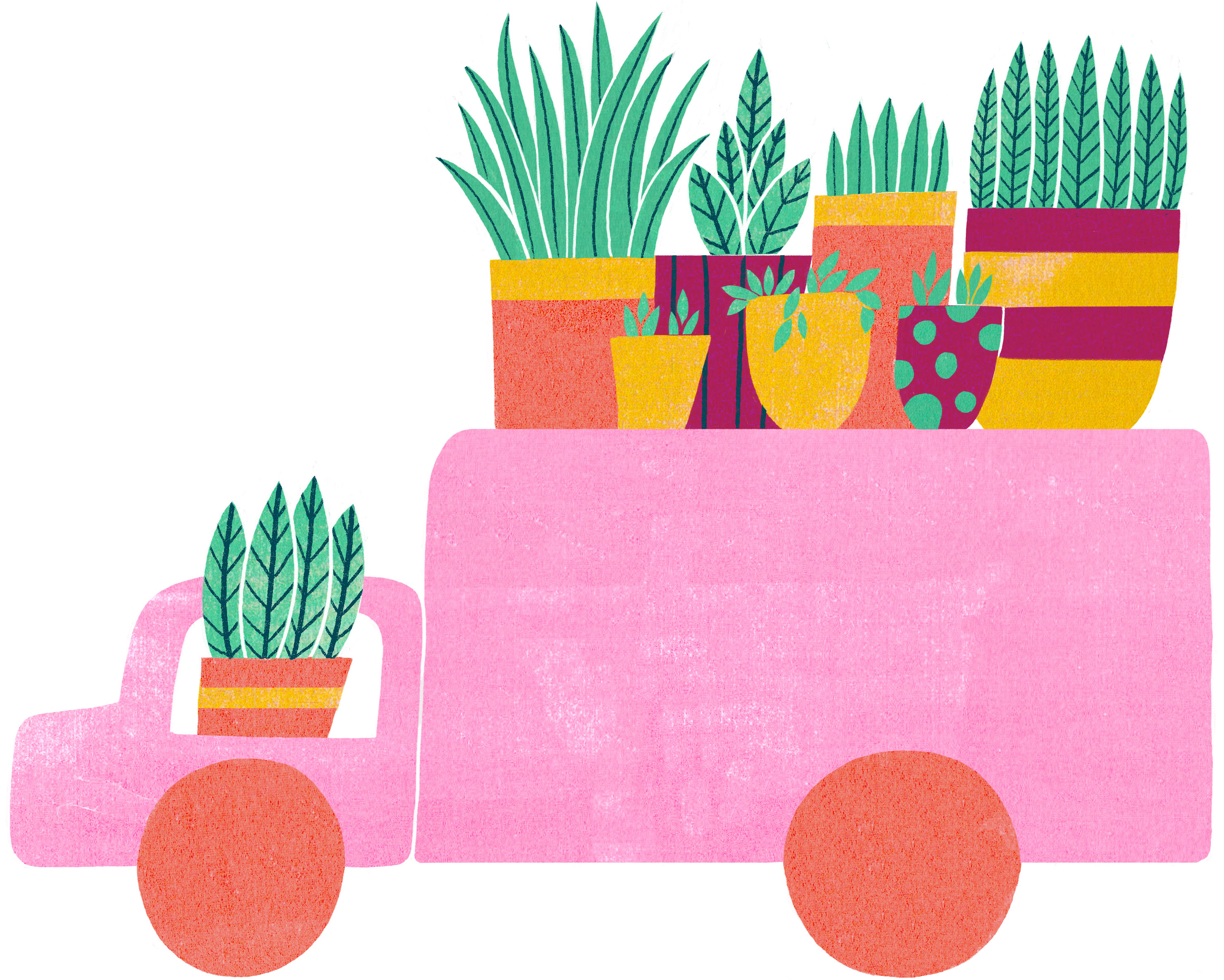 plantvan