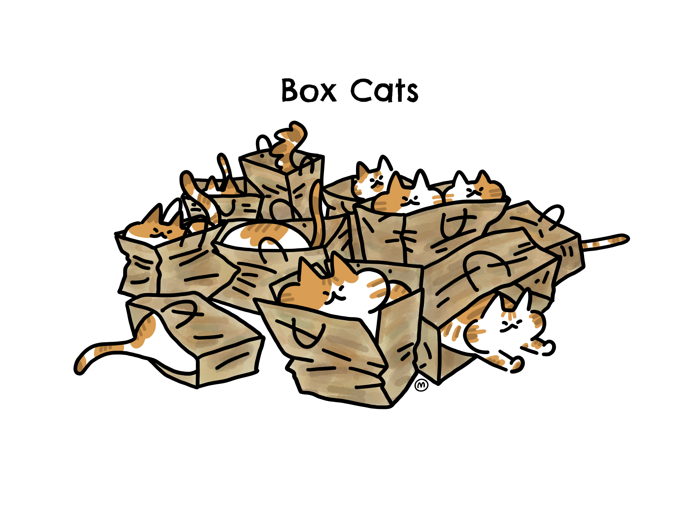 boxcat