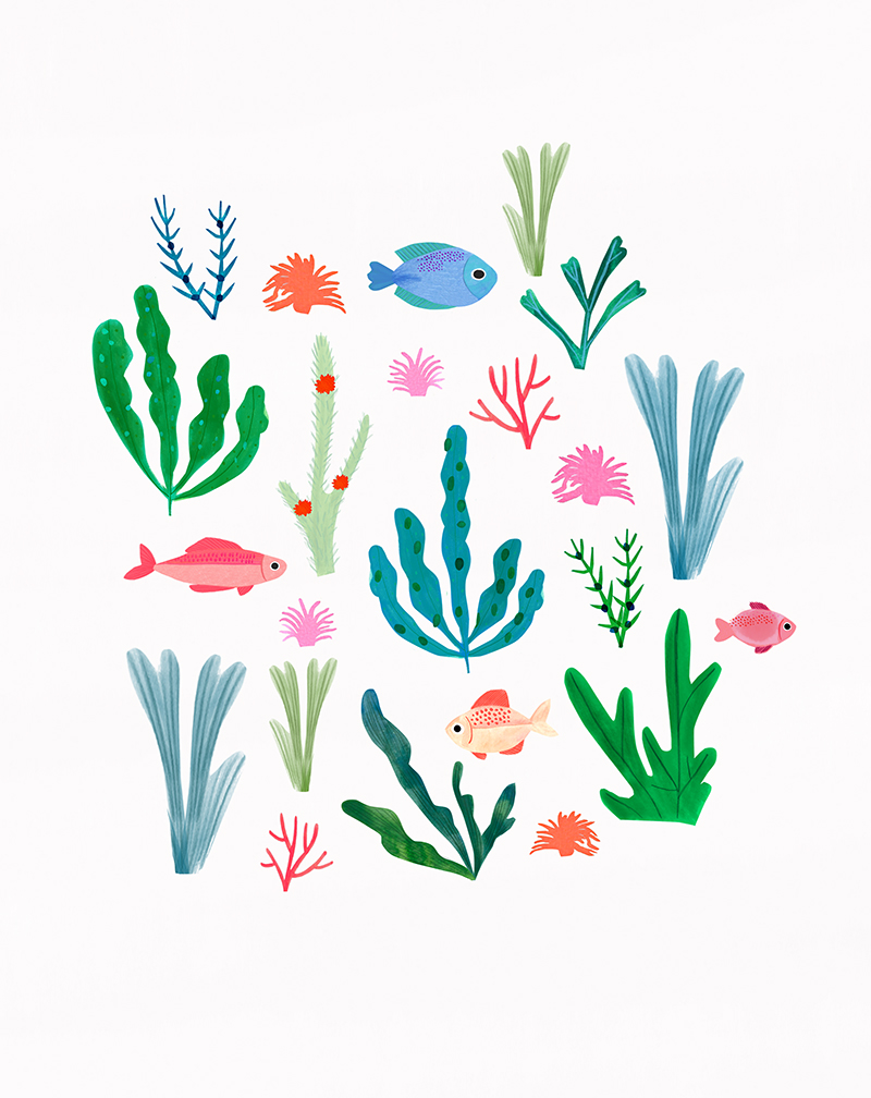 seaweed and fish