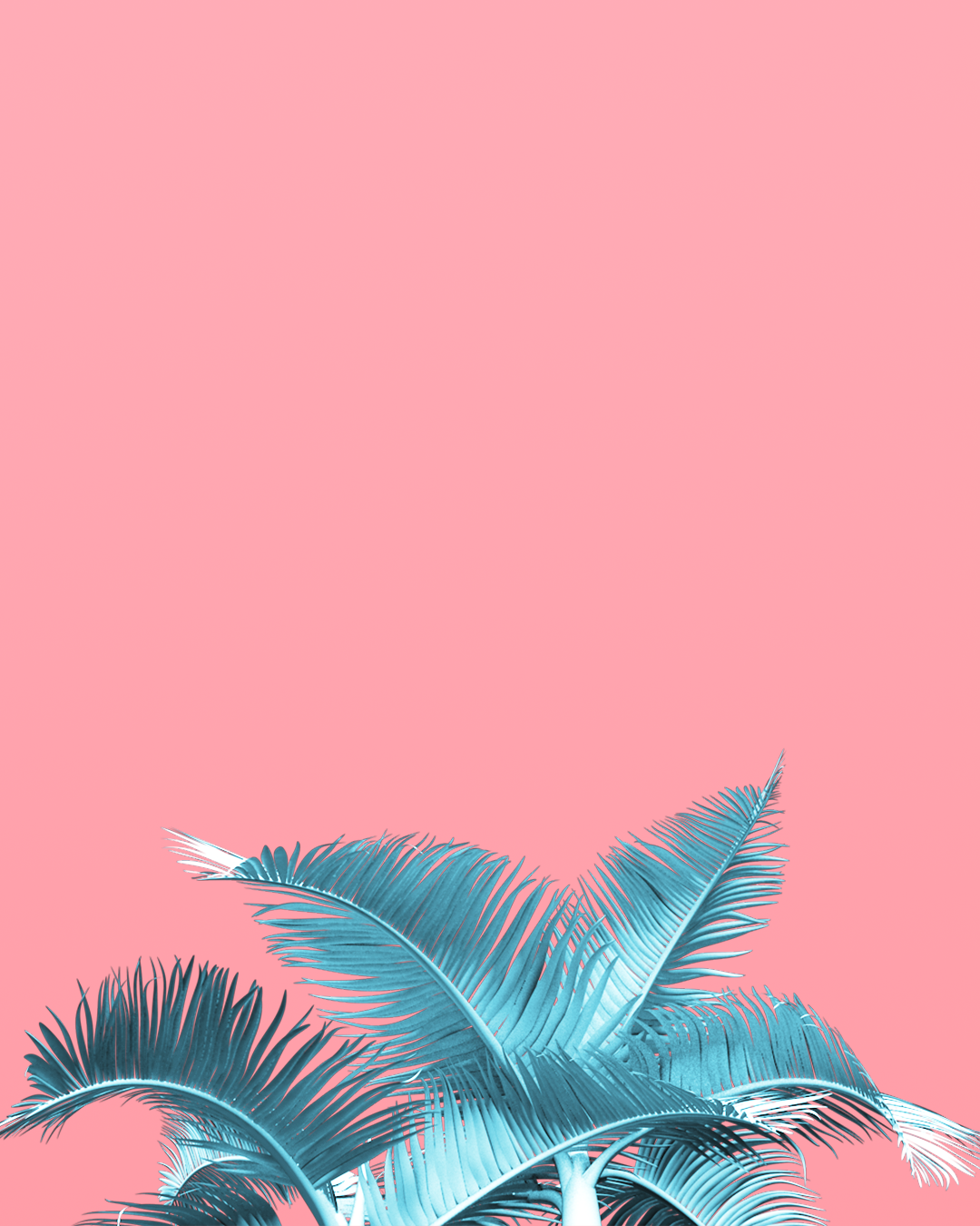 palm