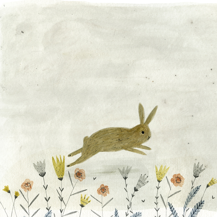 Katie_Wilson_running_rabbit_small