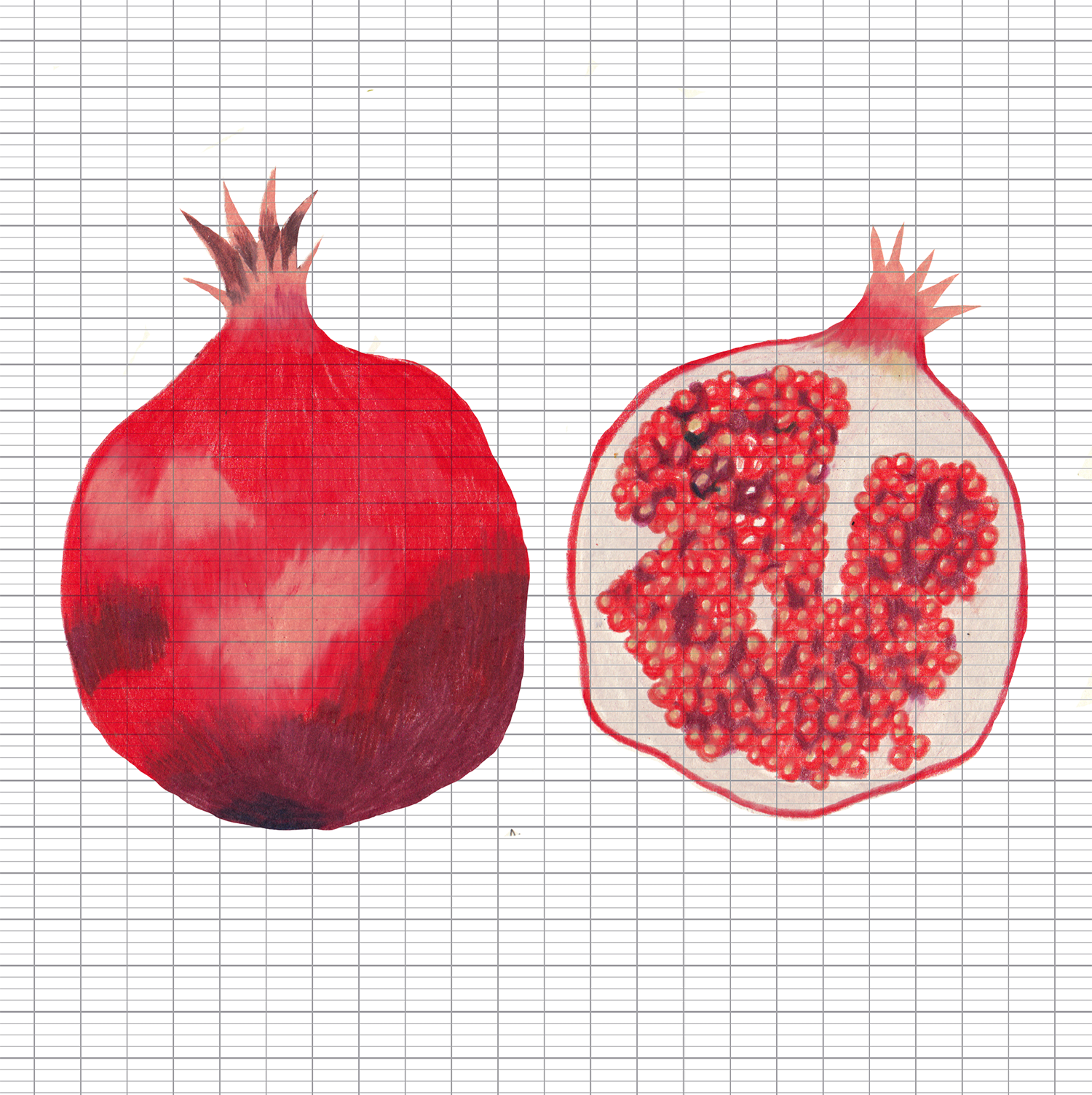 Pomegranate carreaux papier