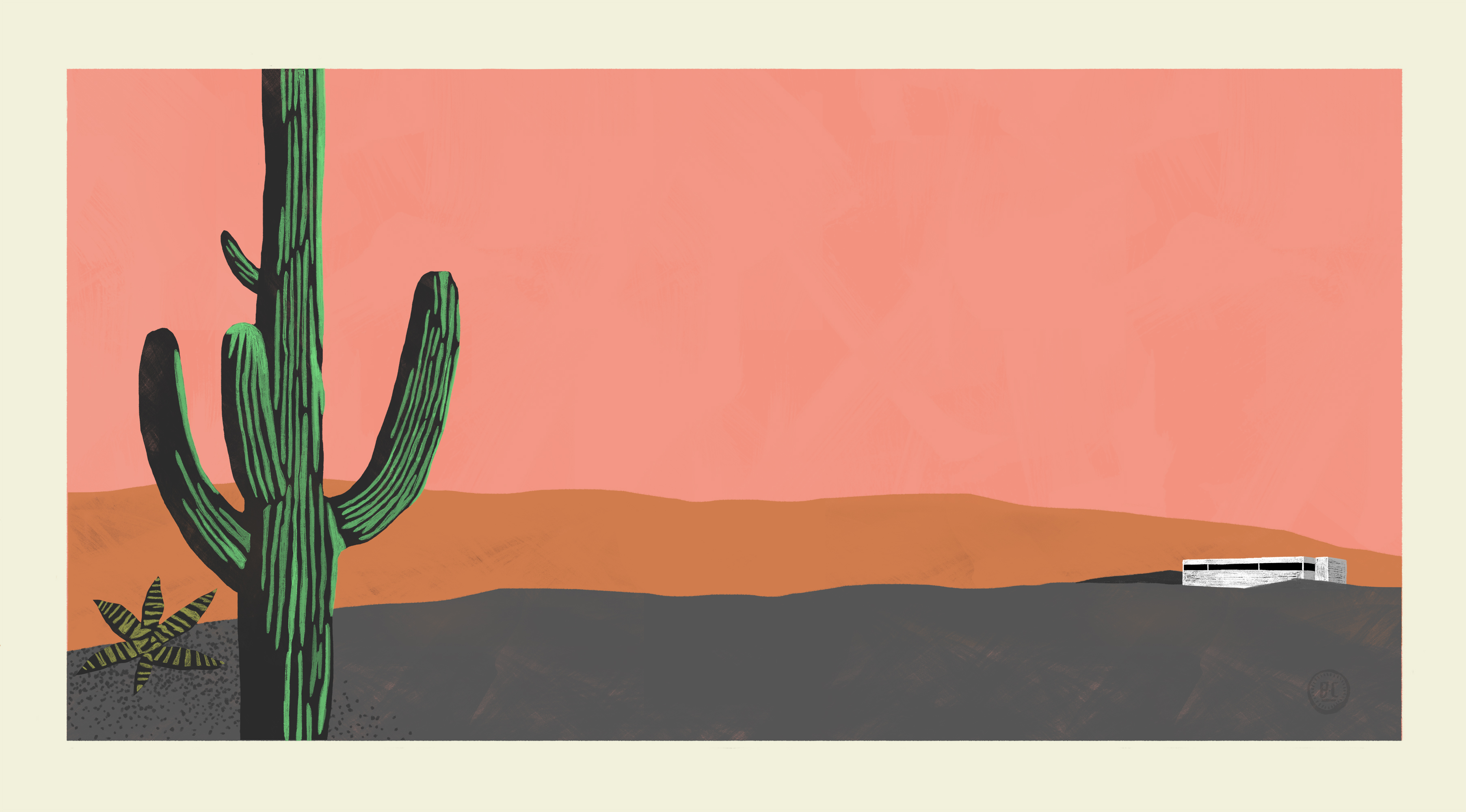 desert landscape