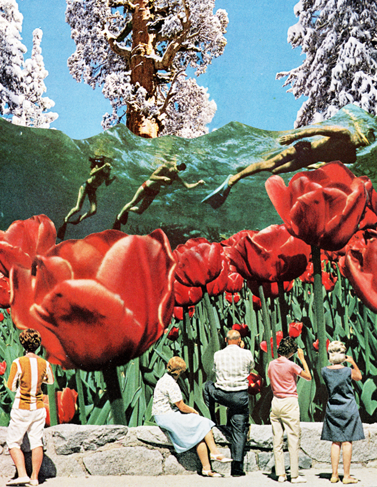 Swimming in Tulips