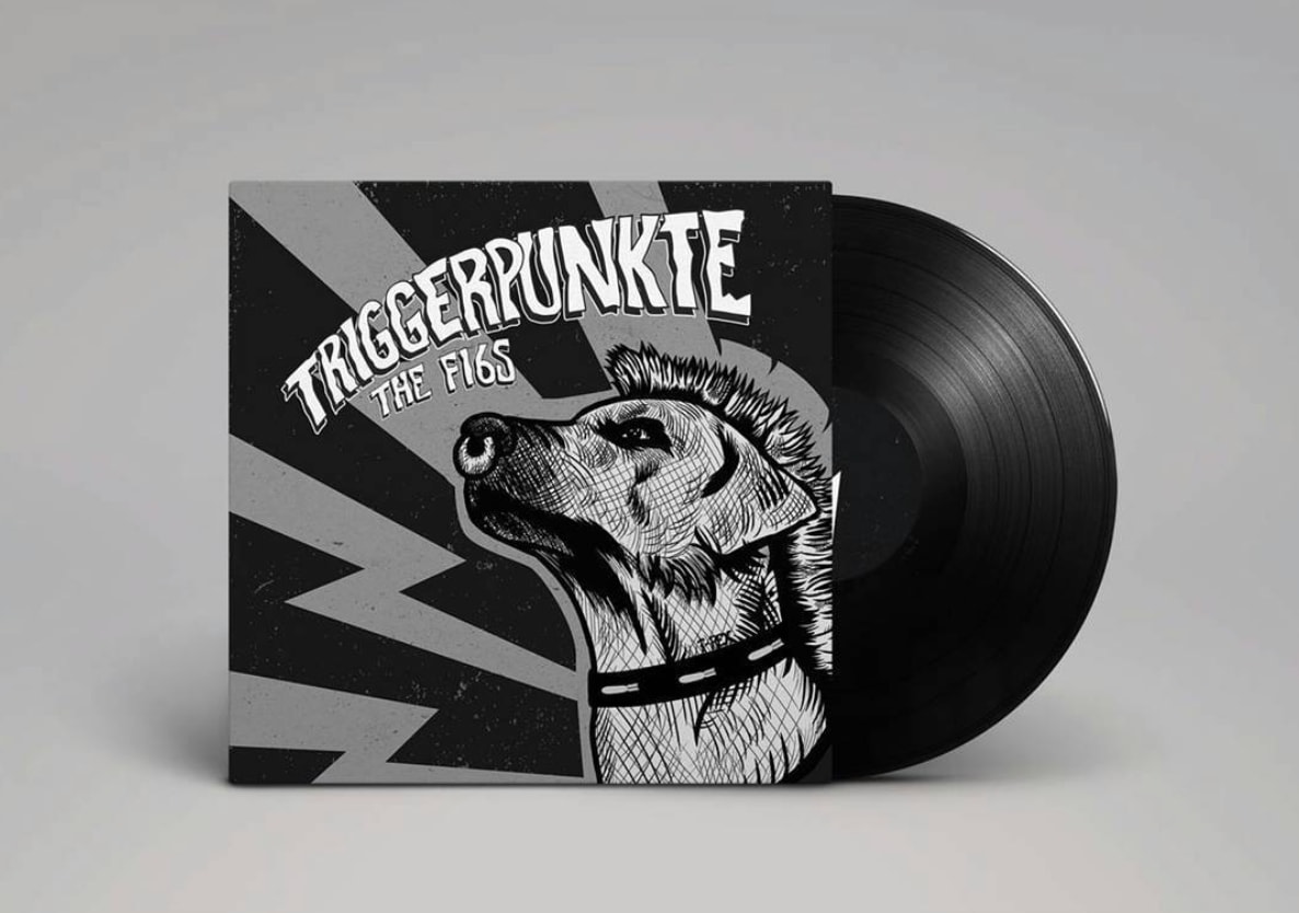 Triggerpunkte by The F16s Album Artwork