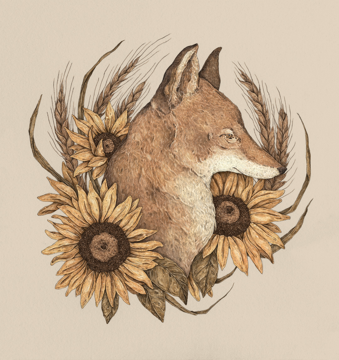 coyoteandsunflowers-jessicaroux-ballpitmagsubmission