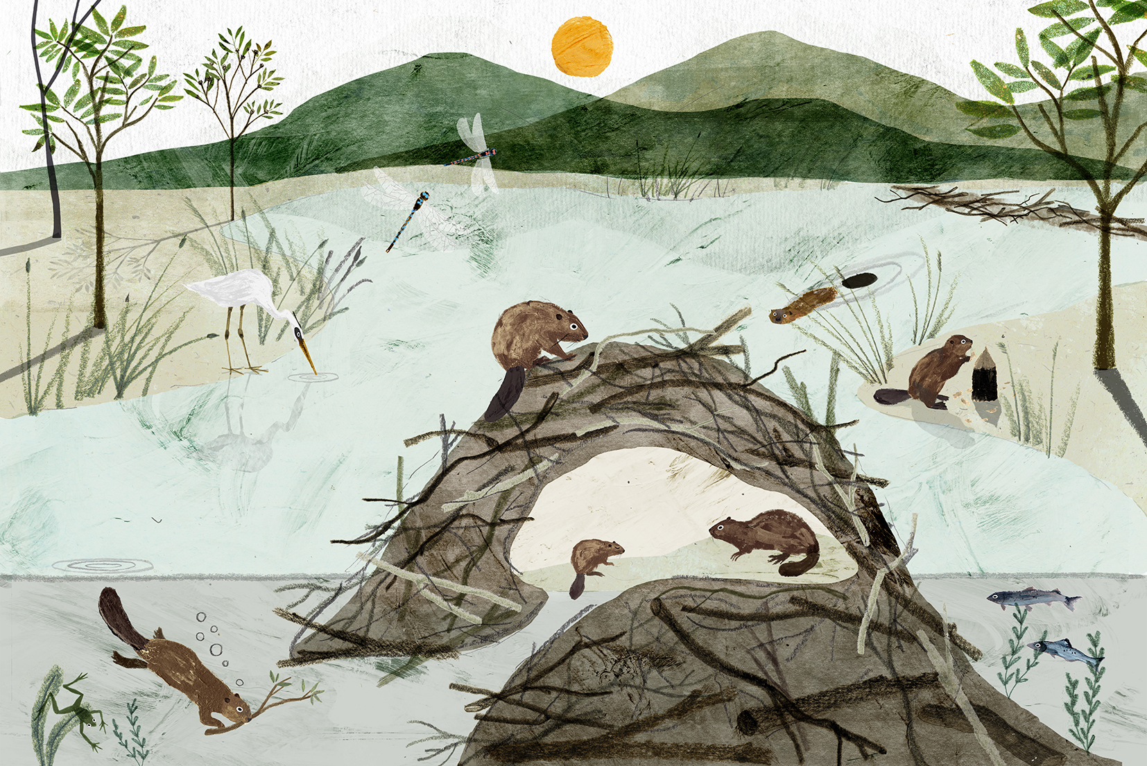 Beaver lodge