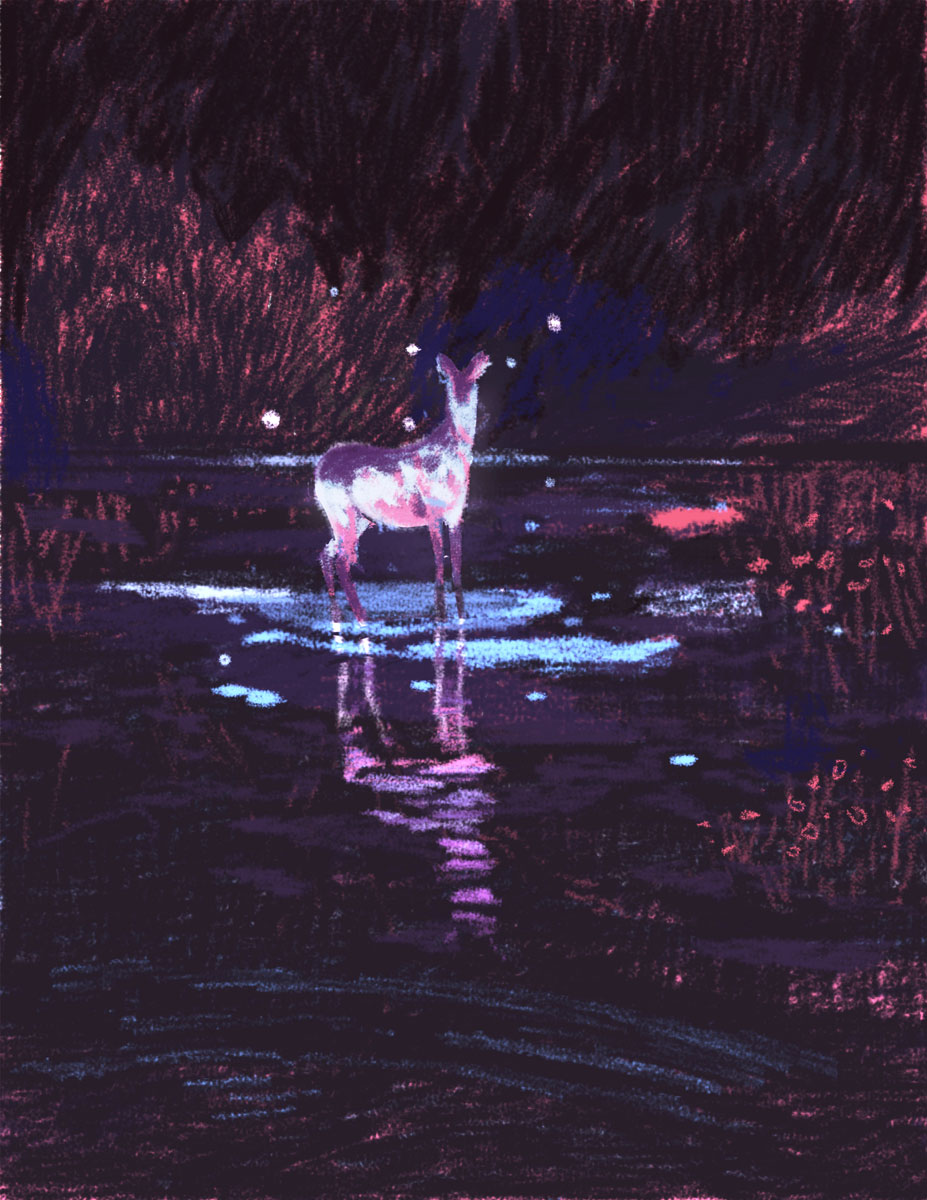 deerstanding112117_lowres