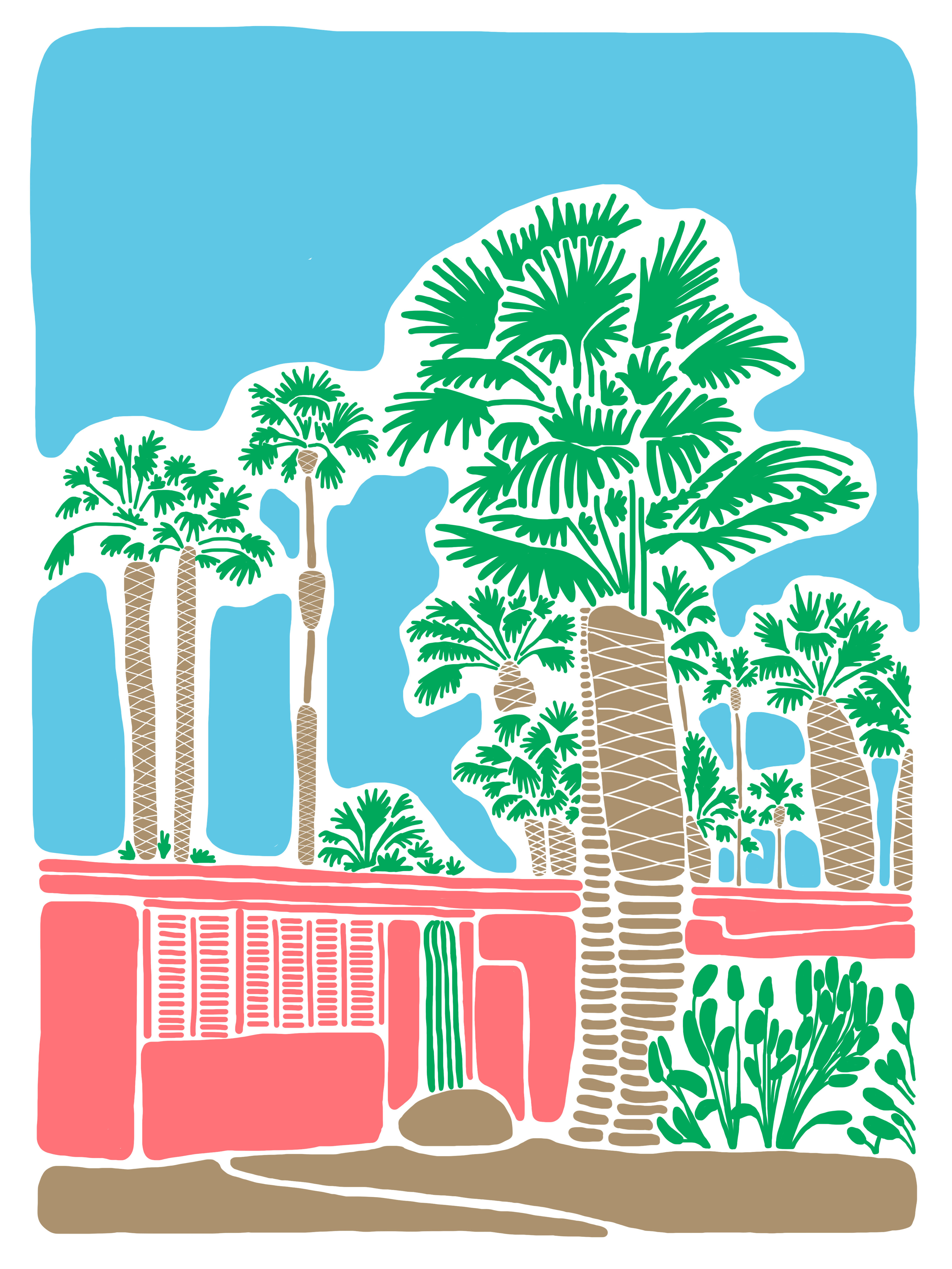 palm