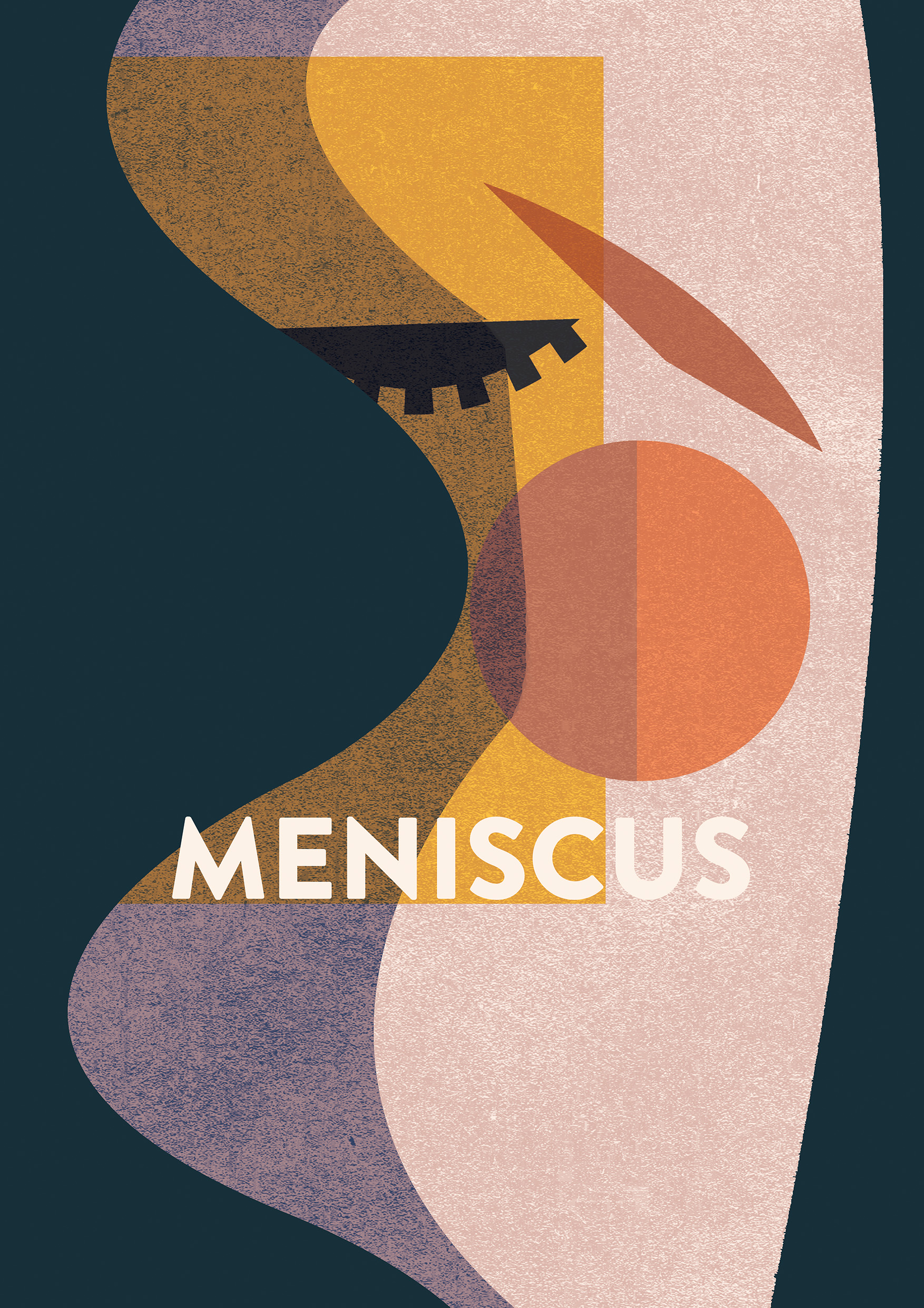 meniscussmall