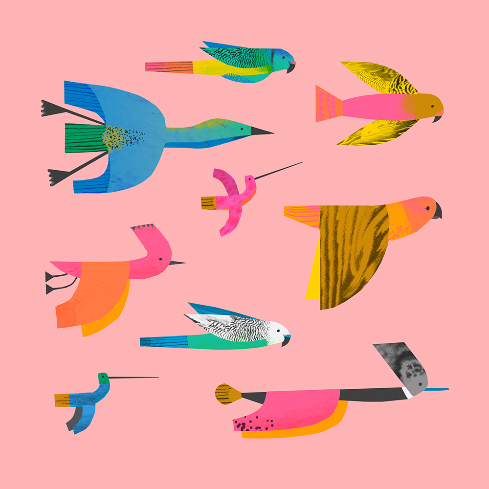 Birds+by+Natasha+Durley