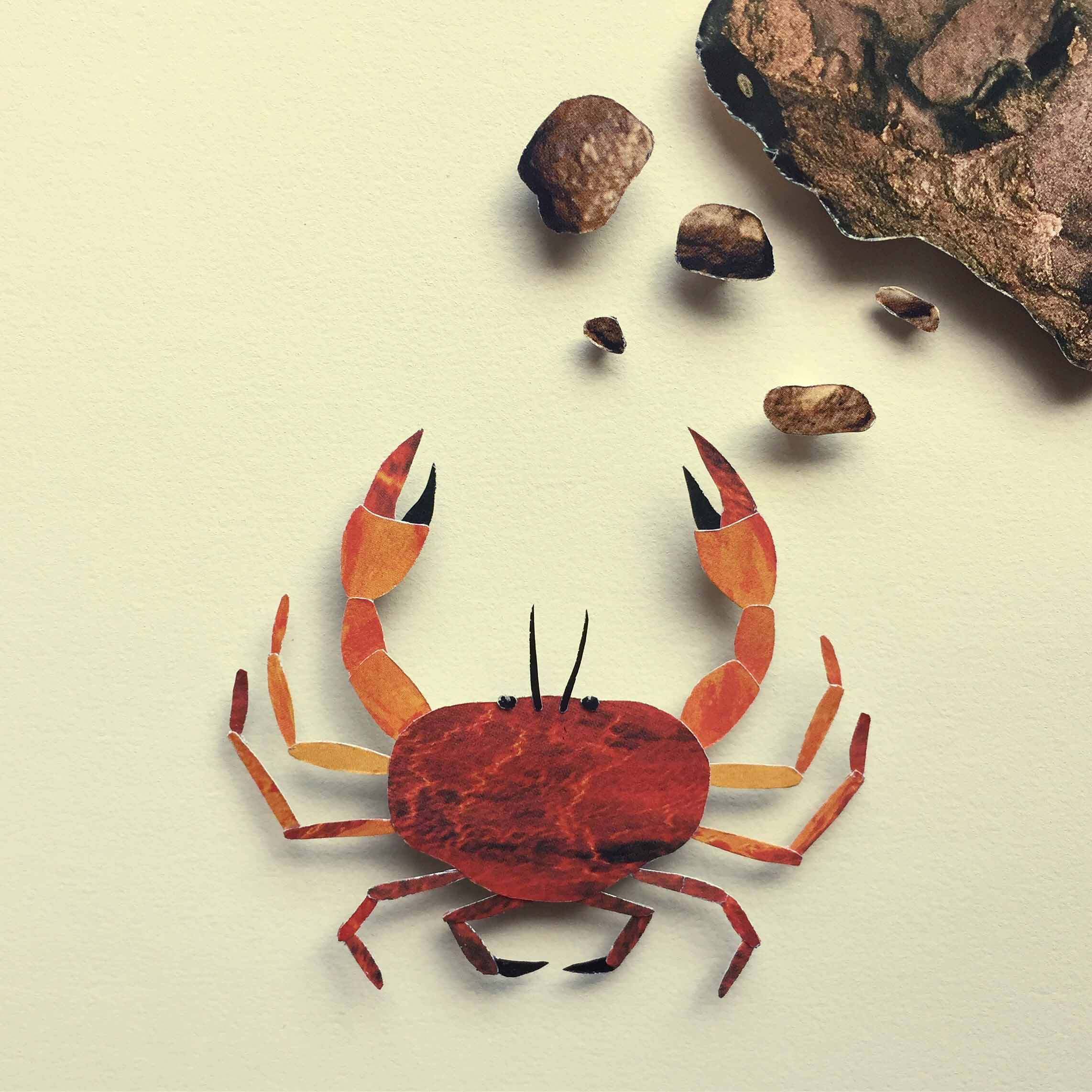 CRAB