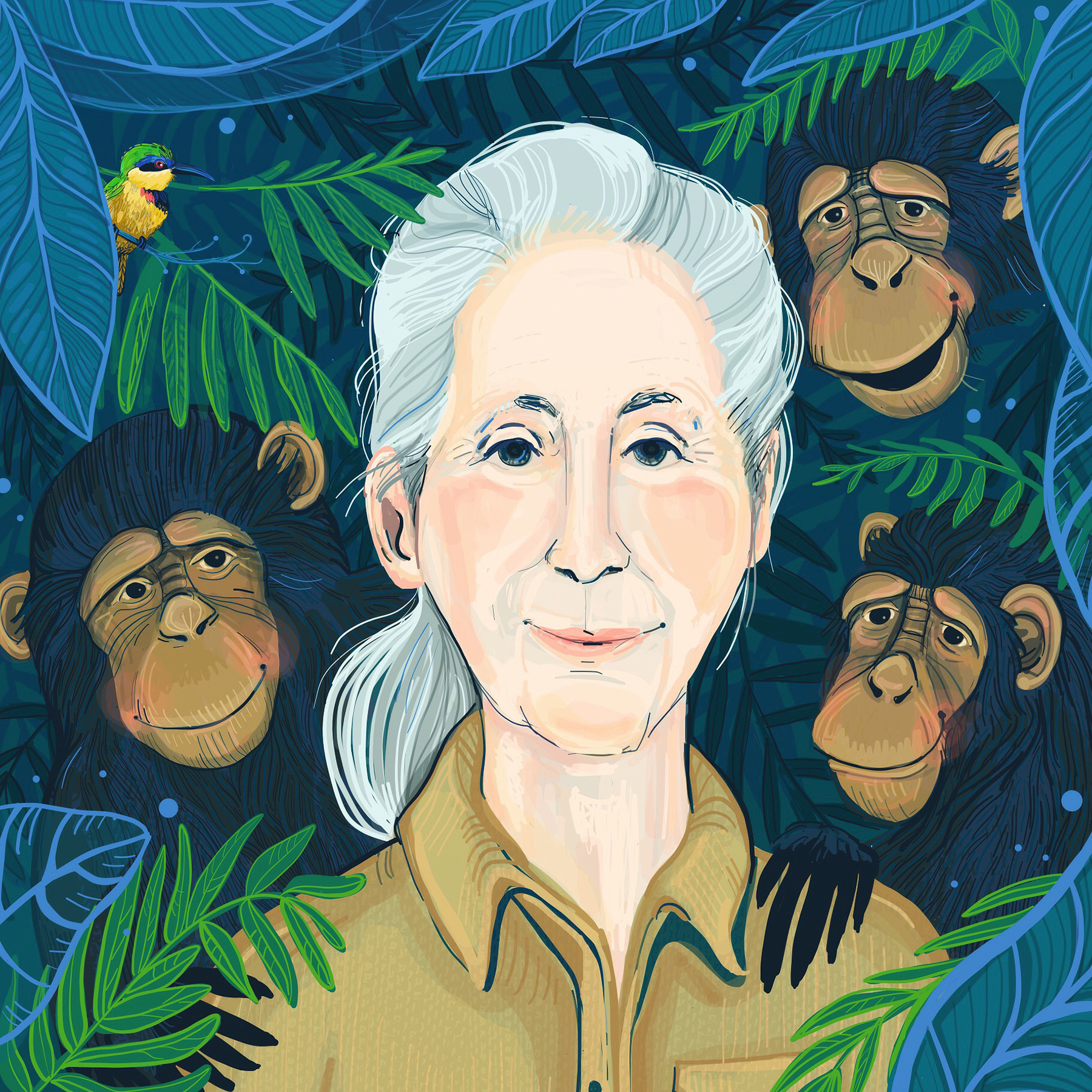 4_LENZ_JaneGoodall4