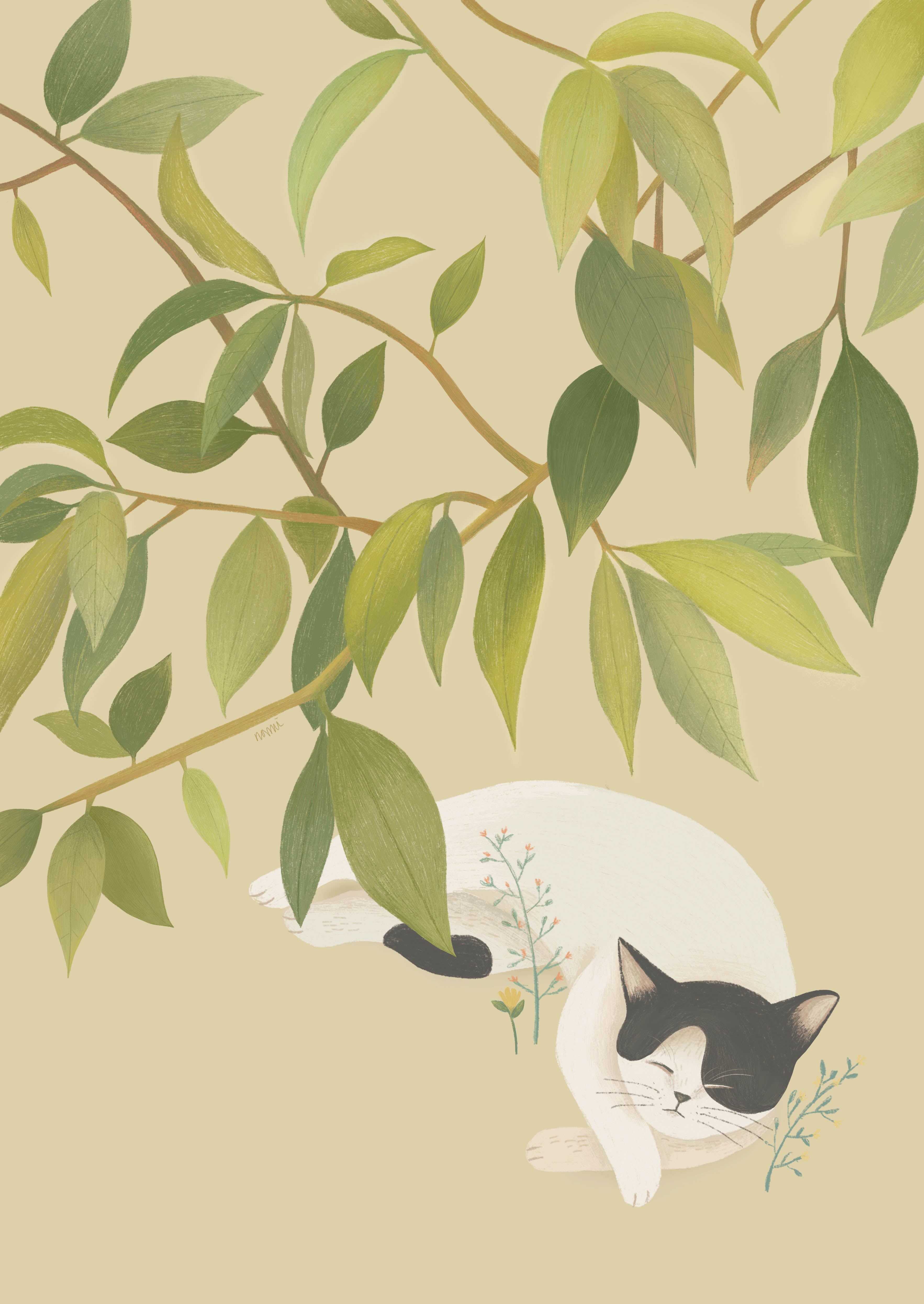 1_cat_and_tree_nami